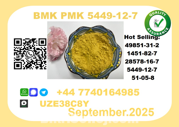 BMK PMK factory CAS 5449-12-7 worldwide safe&fast delivery